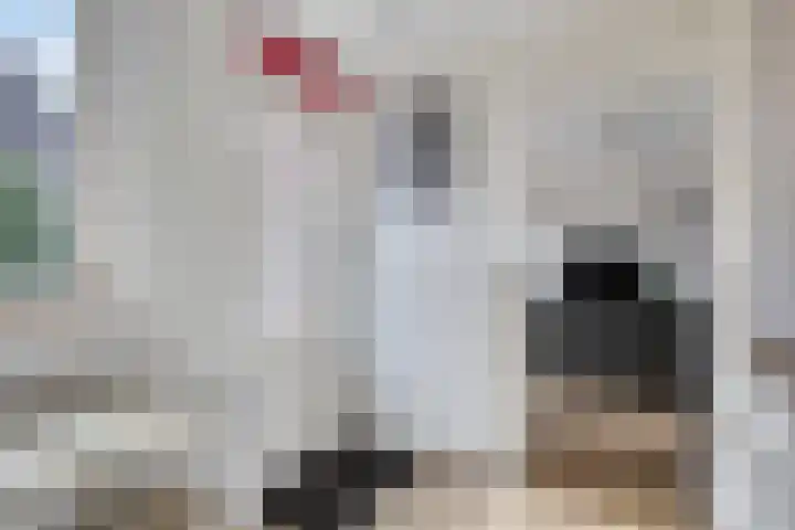 De Elbe 25 Drunen thumbnail 19