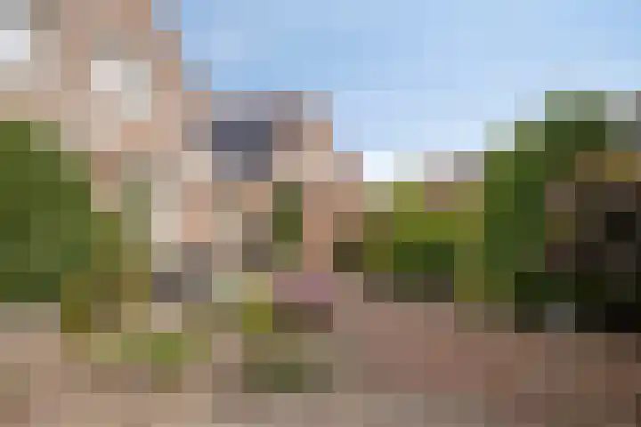 De Elbe 25 Drunen thumbnail 33