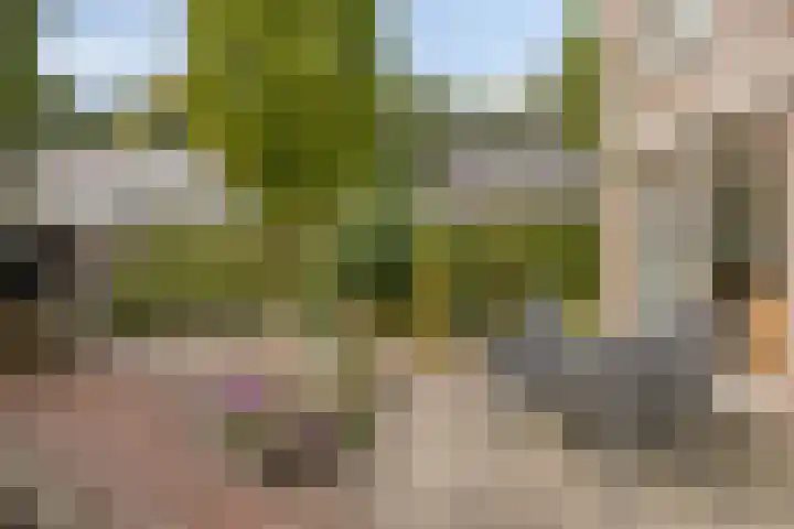 De Elbe 25 Drunen thumbnail 35