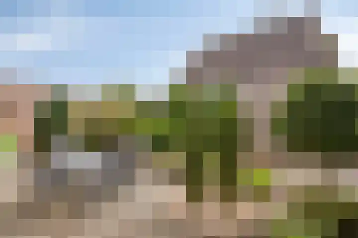 De Elbe 25 Drunen thumbnail 36