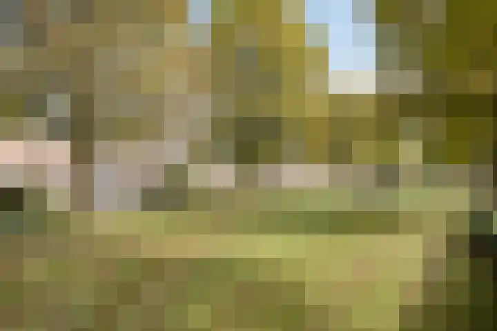 De Elbe 25 Drunen thumbnail 38