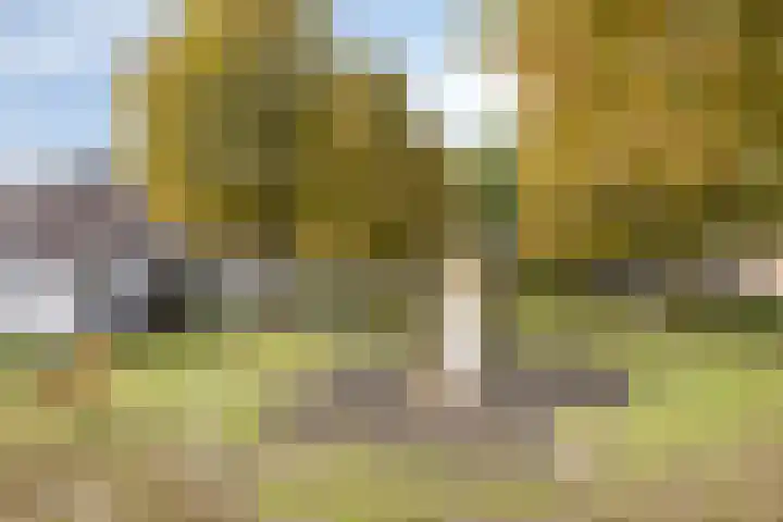 De Elbe 25 Drunen thumbnail 39