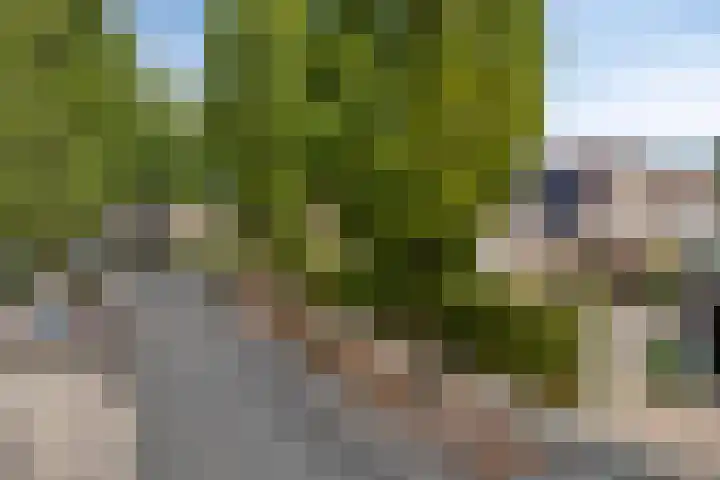 De Elbe 25 Drunen thumbnail 4