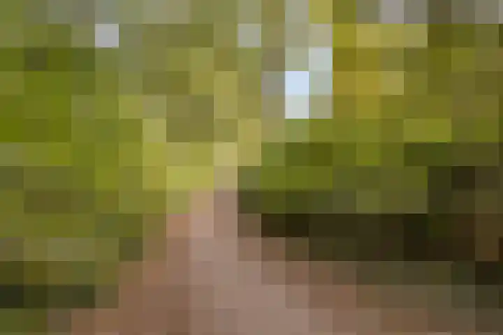 De Elbe 25 Drunen thumbnail 40