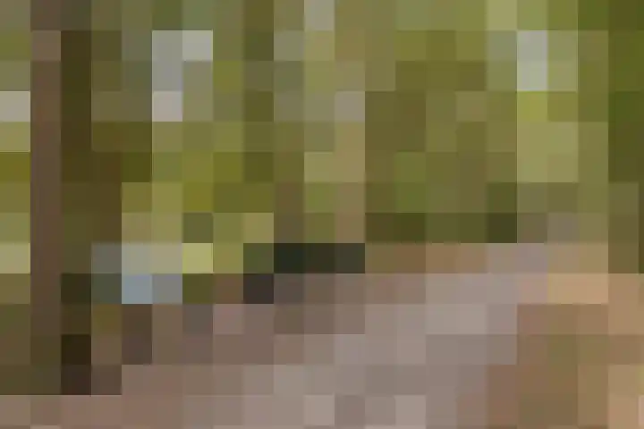 De Elbe 25 Drunen thumbnail 41