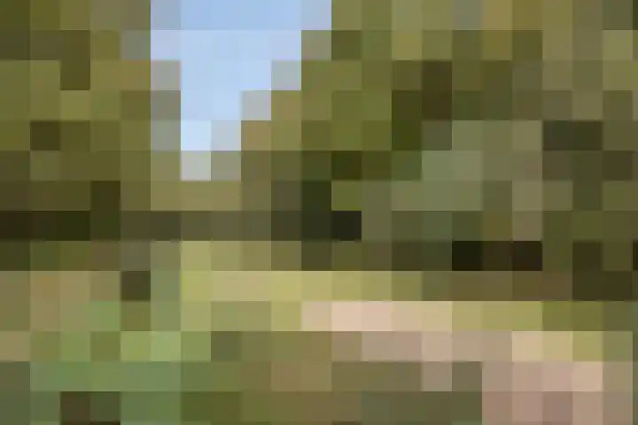 De Elbe 25 Drunen thumbnail 43