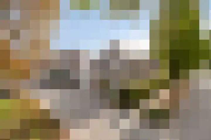 De Elbe 25 Drunen thumbnail 5
