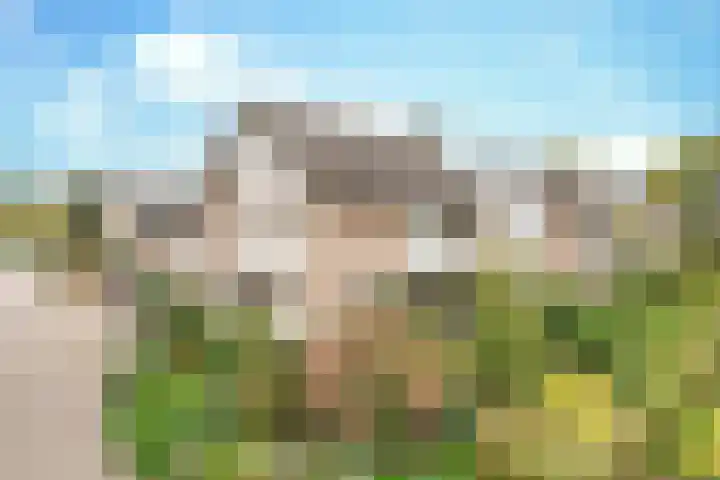 De Elders 10 dans Diessen