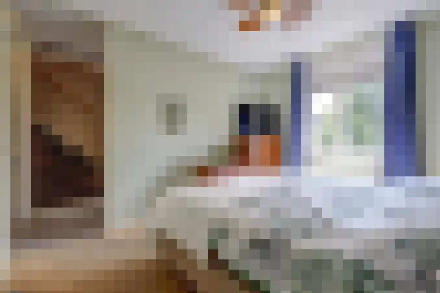De Elders 35 Diessen thumbnail 20