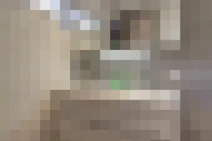 De Elders 35 Diessen thumbnail 28