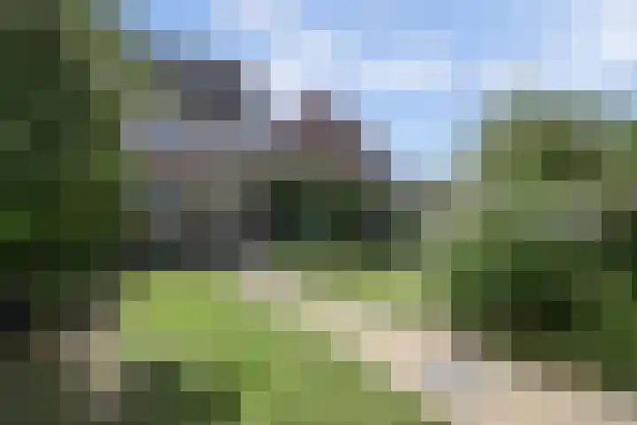De Elders 35 Diessen thumbnail 33