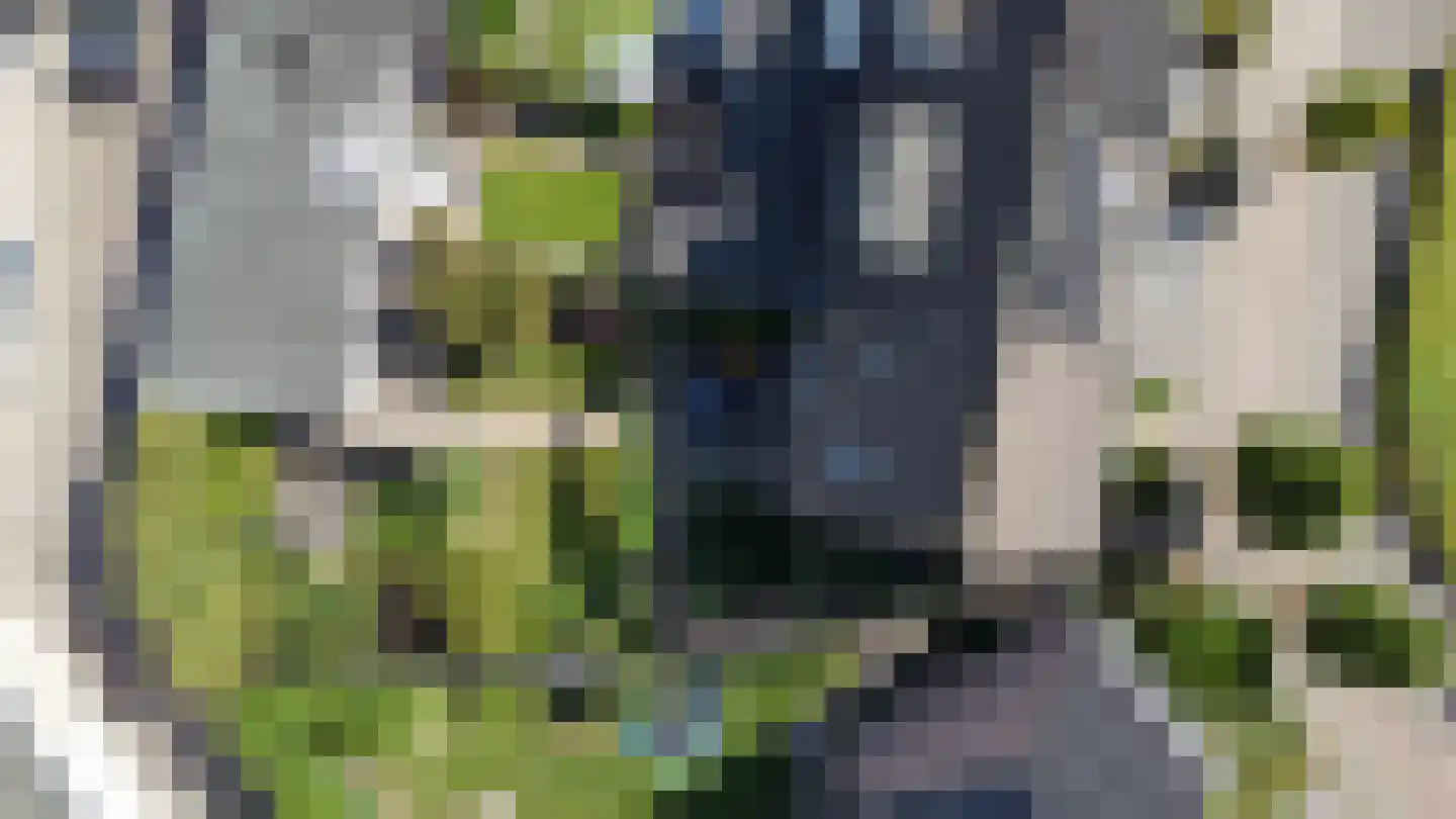 De Elders 35 Diessen thumbnail 34