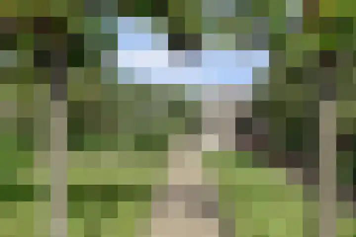 De Elders 35 Diessen thumbnail 38