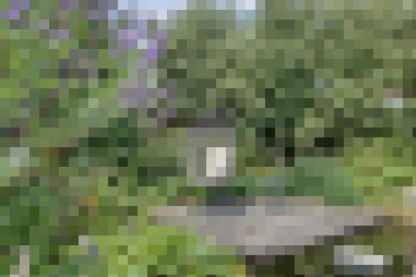 De Elders 35 Diessen thumbnail 40