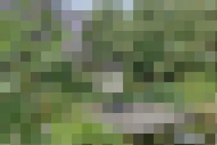 De Elders 35 Diessen thumbnail 40