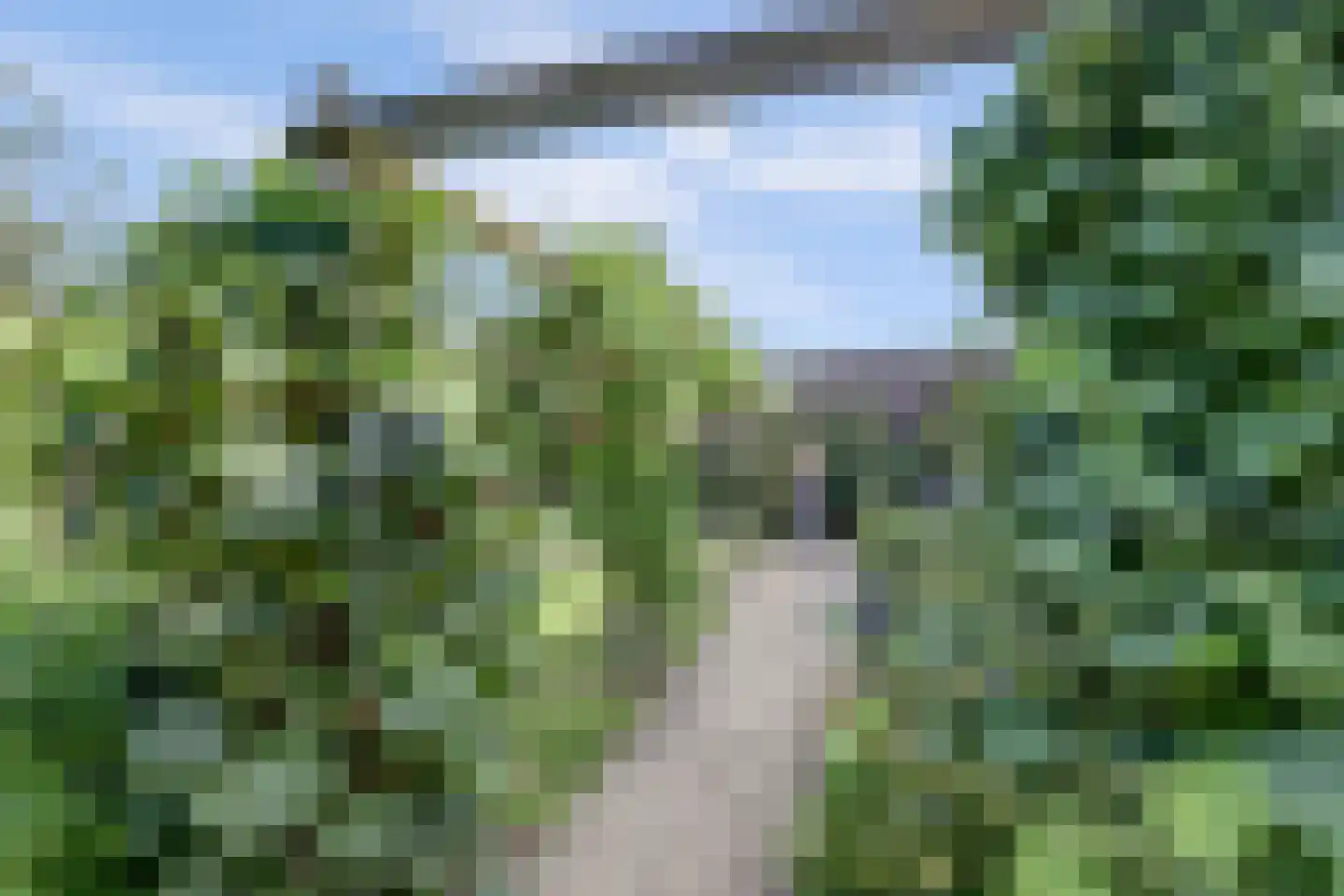 De Elders 35 Diessen thumbnail 41