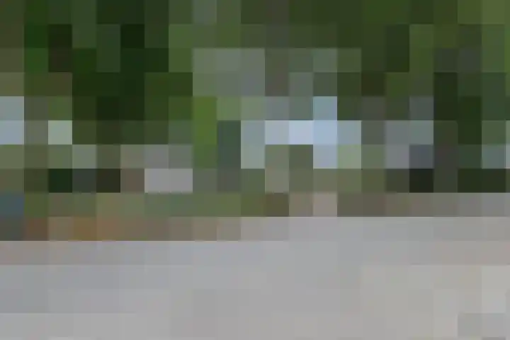 De Elders 35 Diessen thumbnail 42