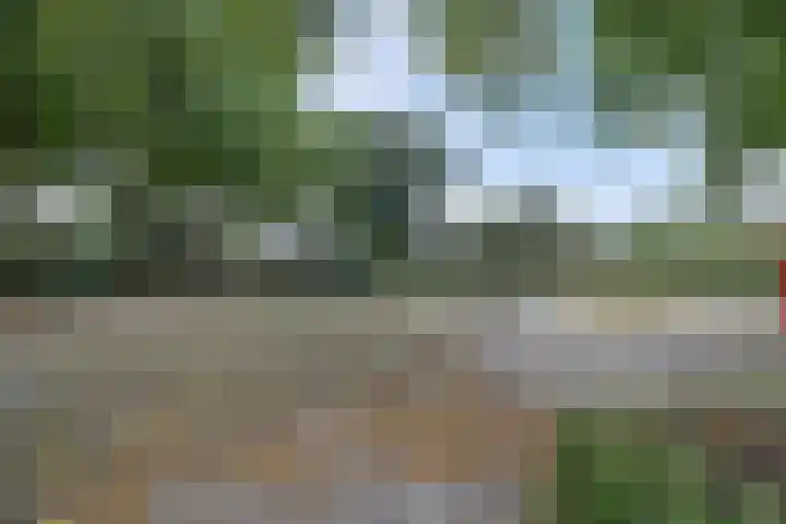 De Elders 35 Diessen thumbnail 43