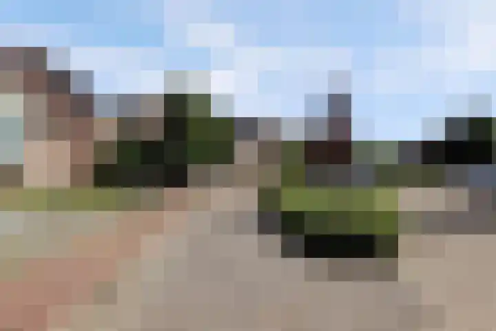 De Elders 35 Diessen thumbnail 44