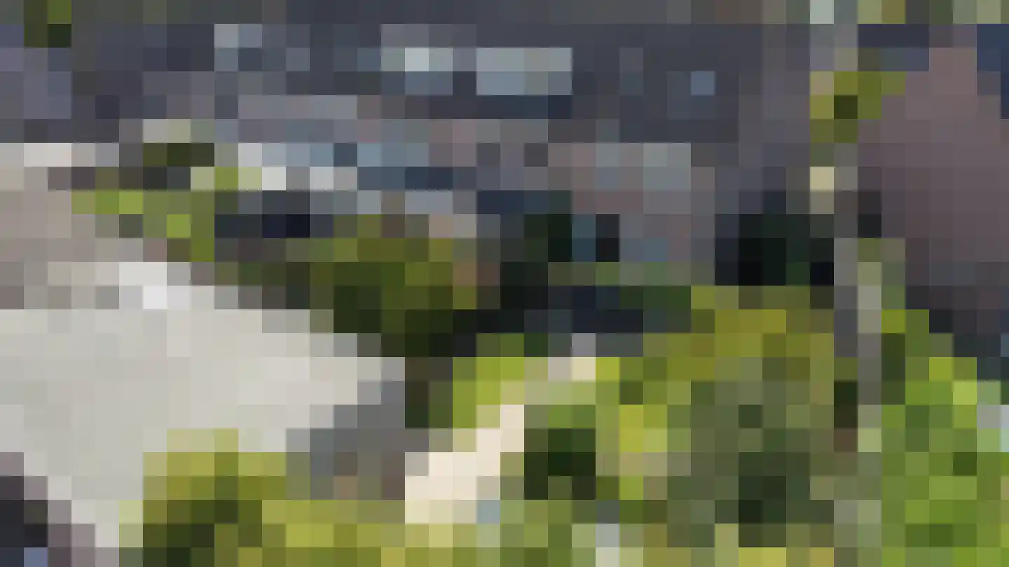 De Elders 35 Diessen thumbnail 51