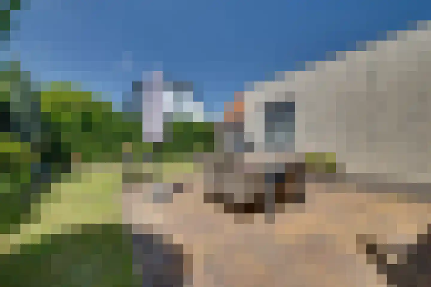 De Elizabeth Hoeve 10 Klarenbeek thumbnail 29