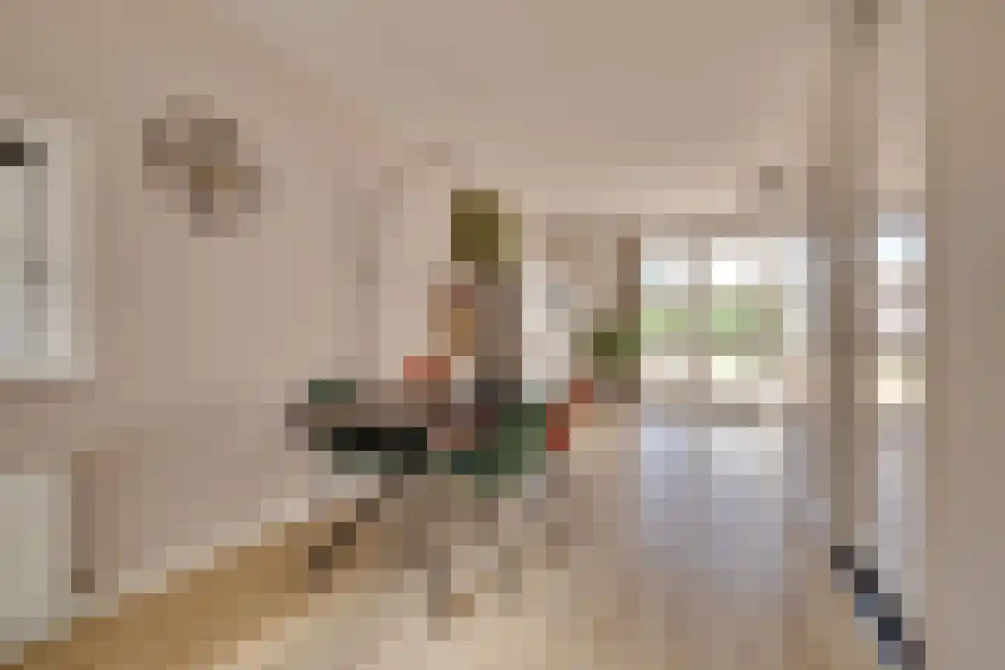 De Elizabeth Hoeve 10 Klarenbeek thumbnail 6