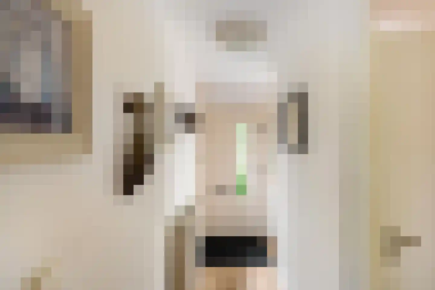 De Els 11 Bedum thumbnail 12
