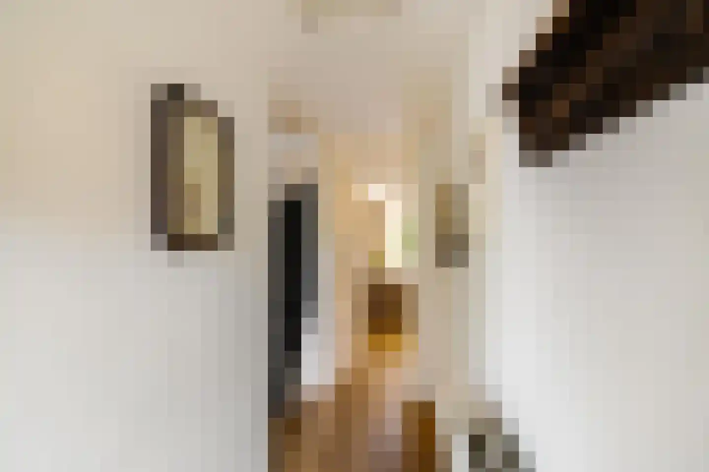 De Els 11 Bedum thumbnail 13