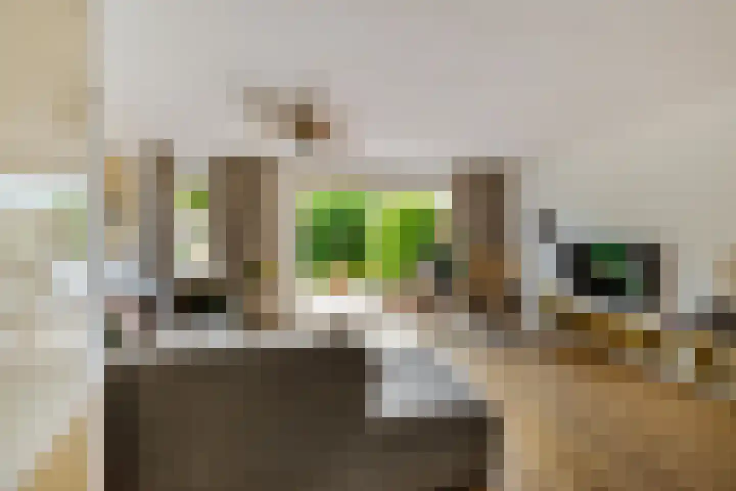 De Els 11 Bedum thumbnail 15
