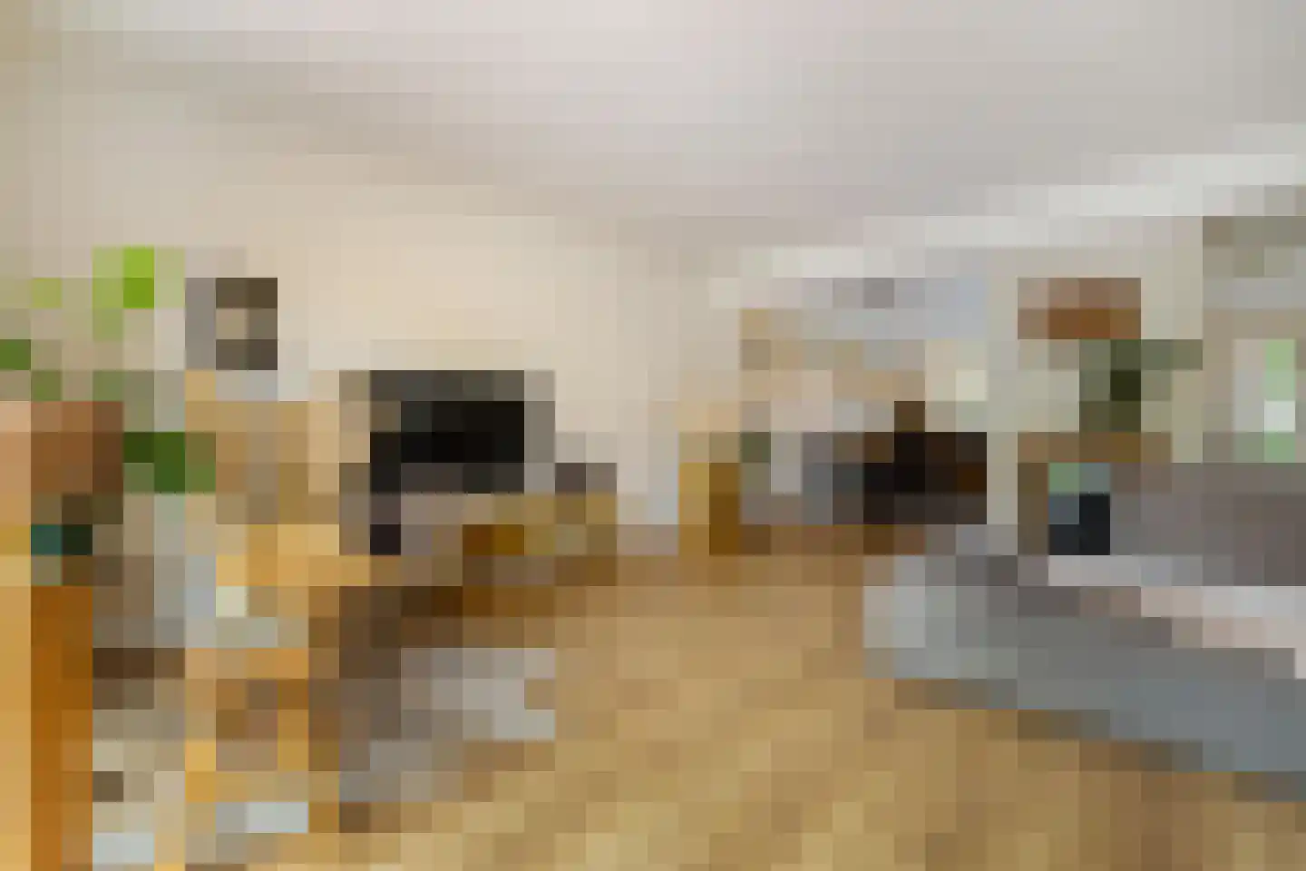 De Els 11 Bedum thumbnail 22