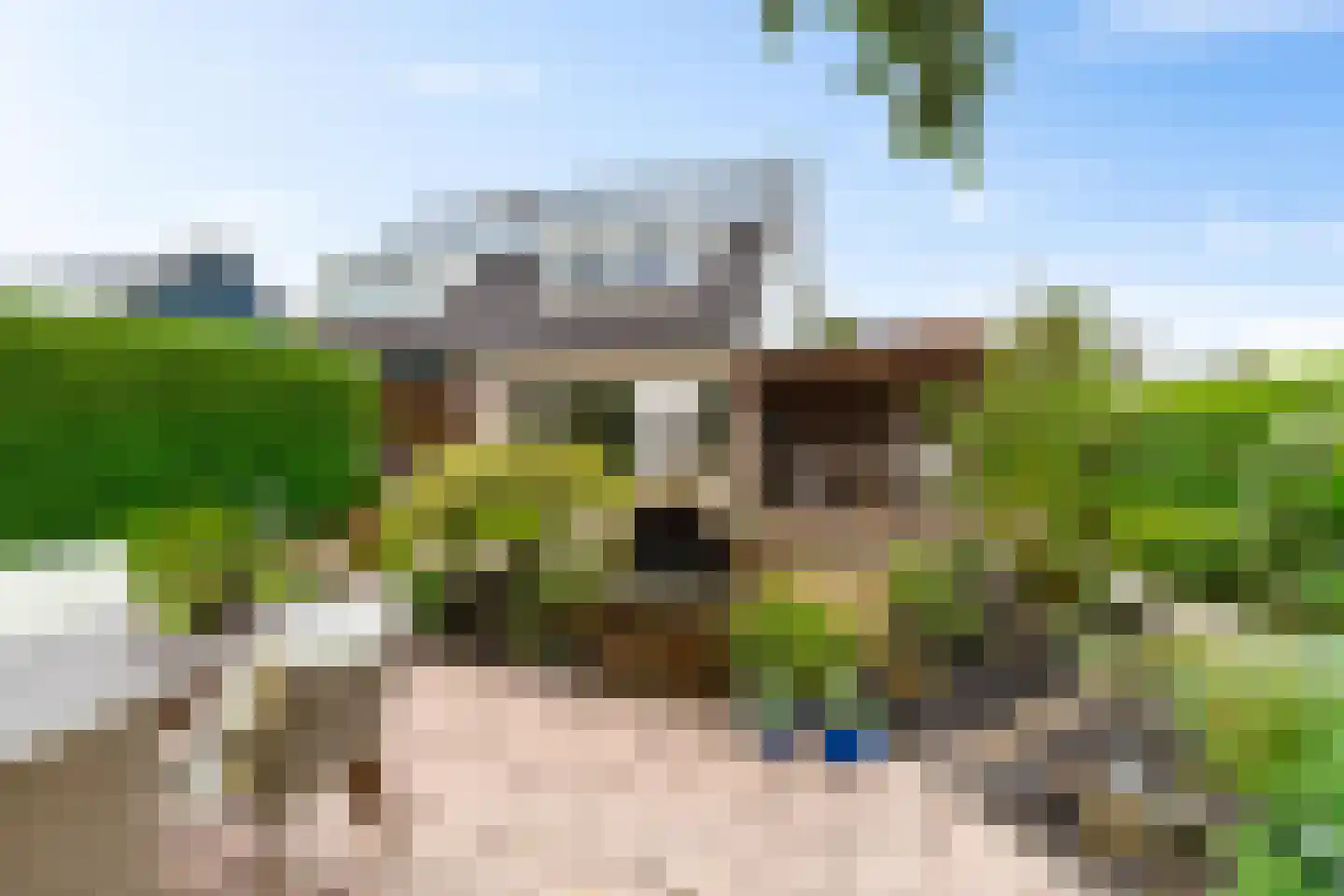 De Els 11 Bedum thumbnail 29