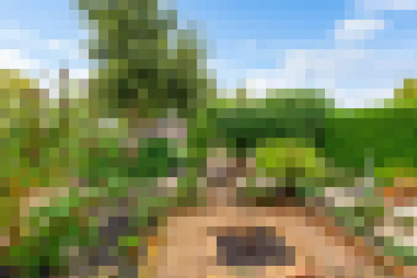 De Els 11 Bedum thumbnail 30