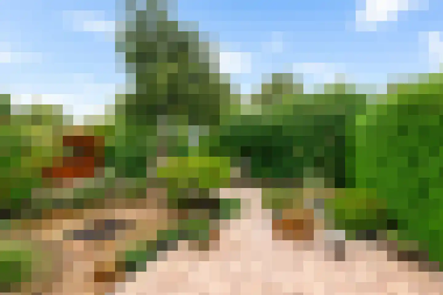 De Els 11 Bedum thumbnail 31