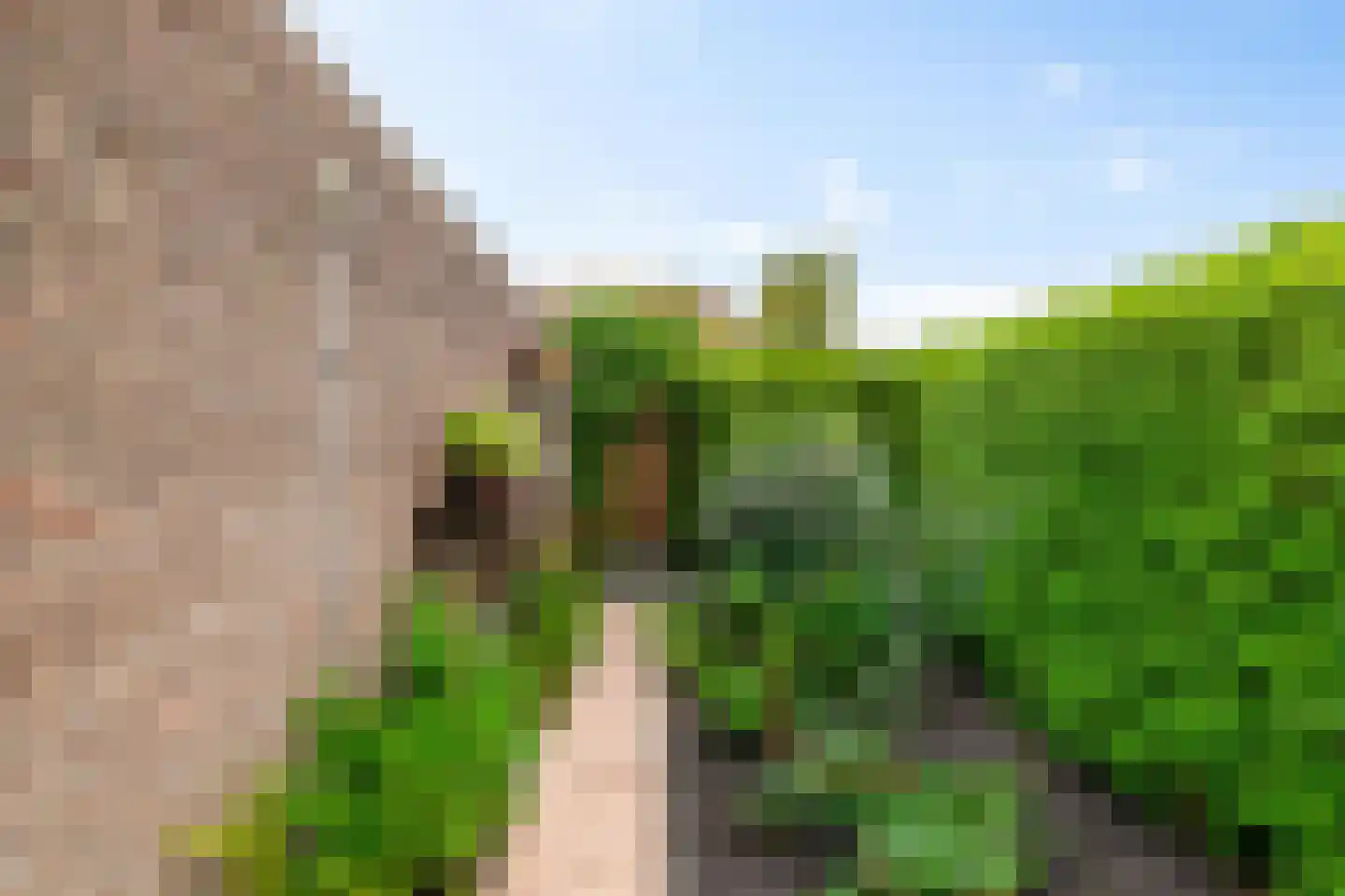 De Els 11 Bedum thumbnail 32