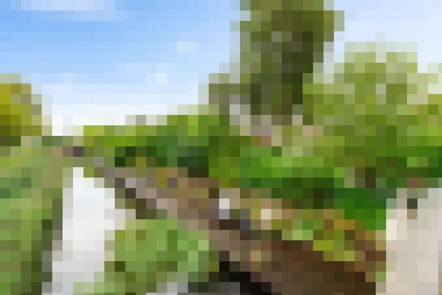 De Els 11 Bedum thumbnail 33