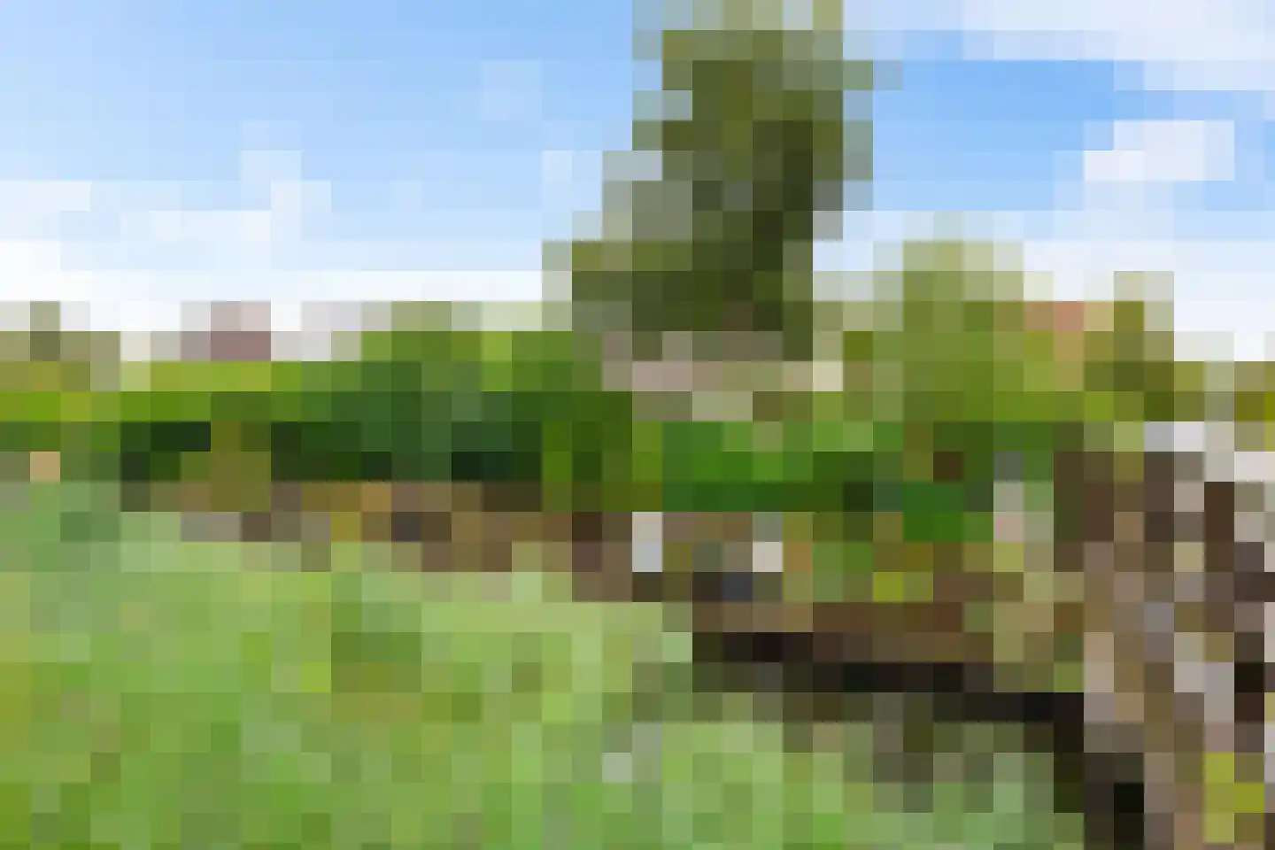 De Els 11 Bedum thumbnail 34
