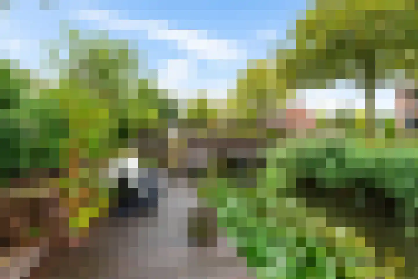 De Els 11 Bedum thumbnail 36