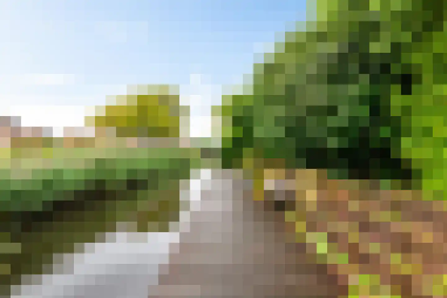 De Els 11 Bedum thumbnail 37