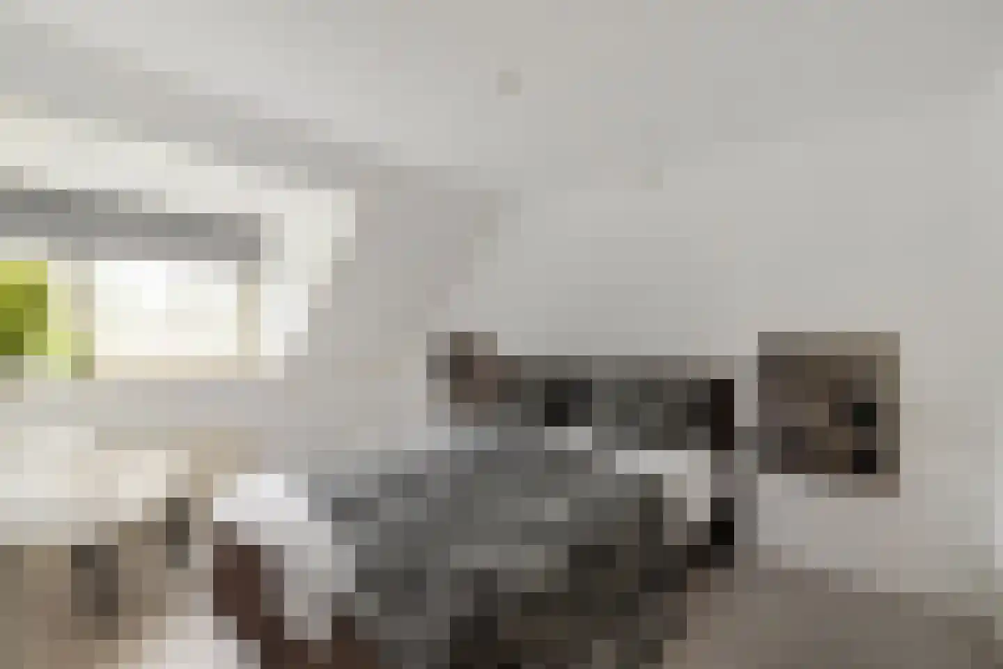 De Els 11 Bedum thumbnail 41