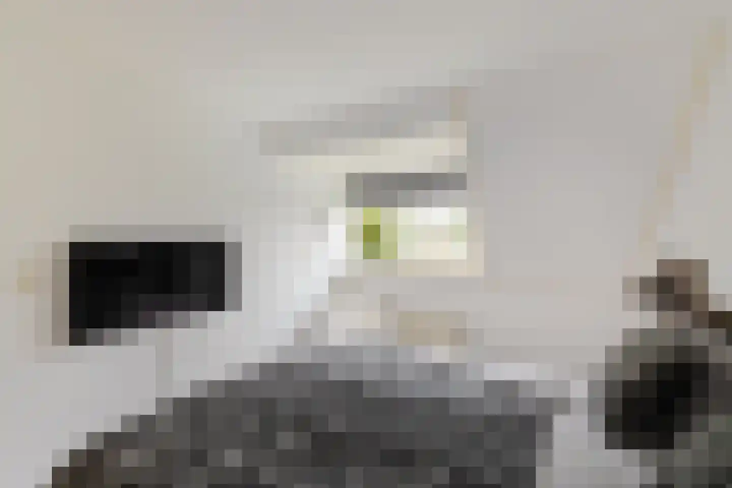 De Els 11 Bedum thumbnail 42