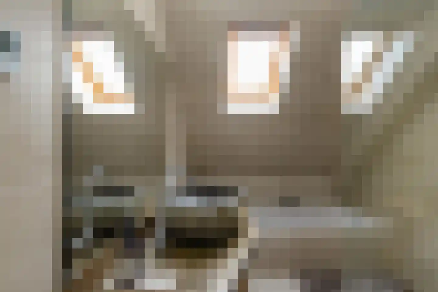 De Els 11 Bedum thumbnail 43