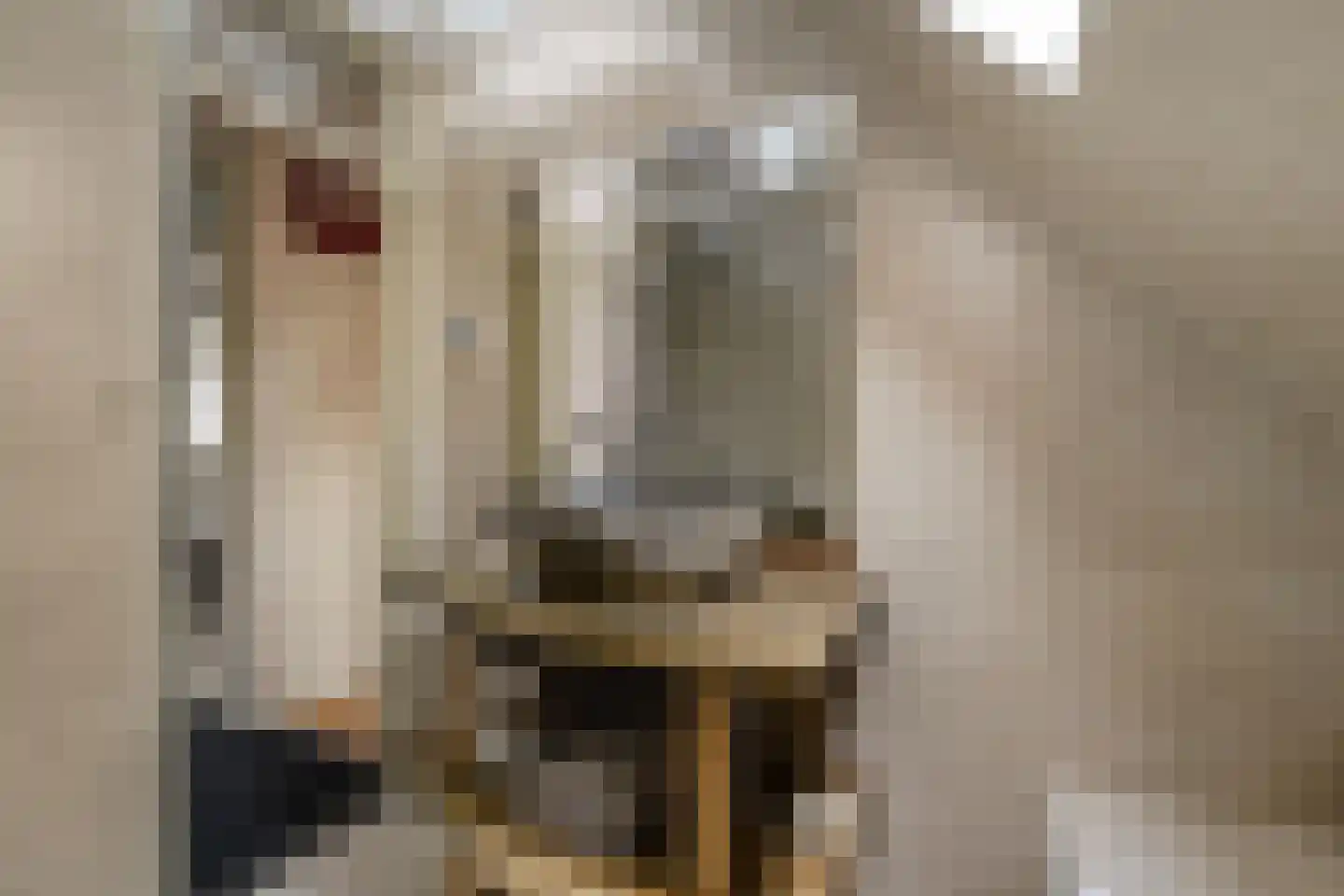 De Els 11 Bedum thumbnail 44