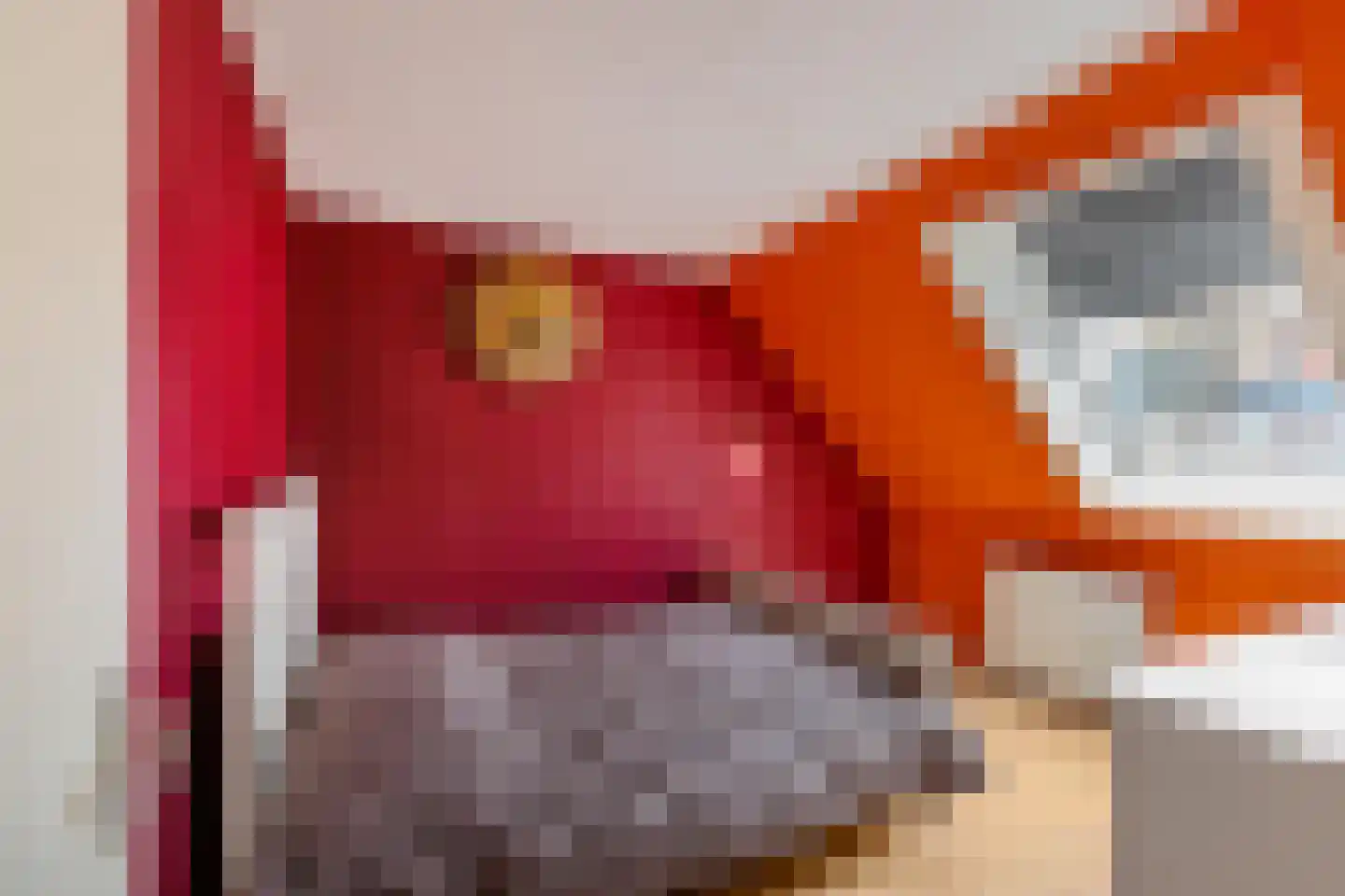 De Els 11 Bedum thumbnail 46