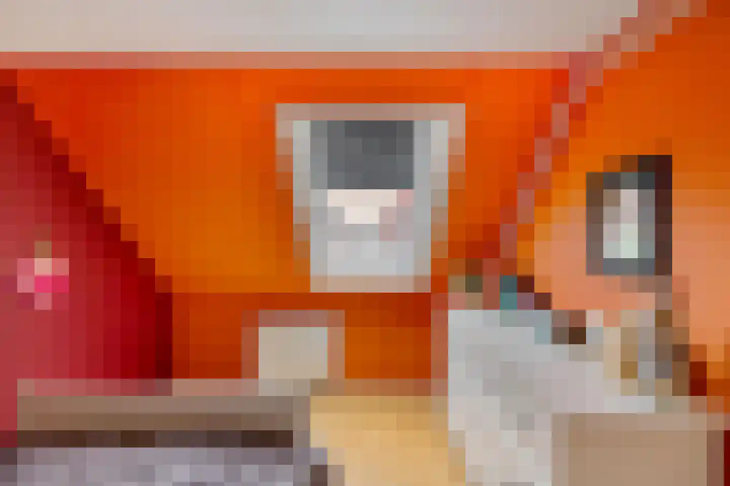 De Els 11 Bedum thumbnail 47