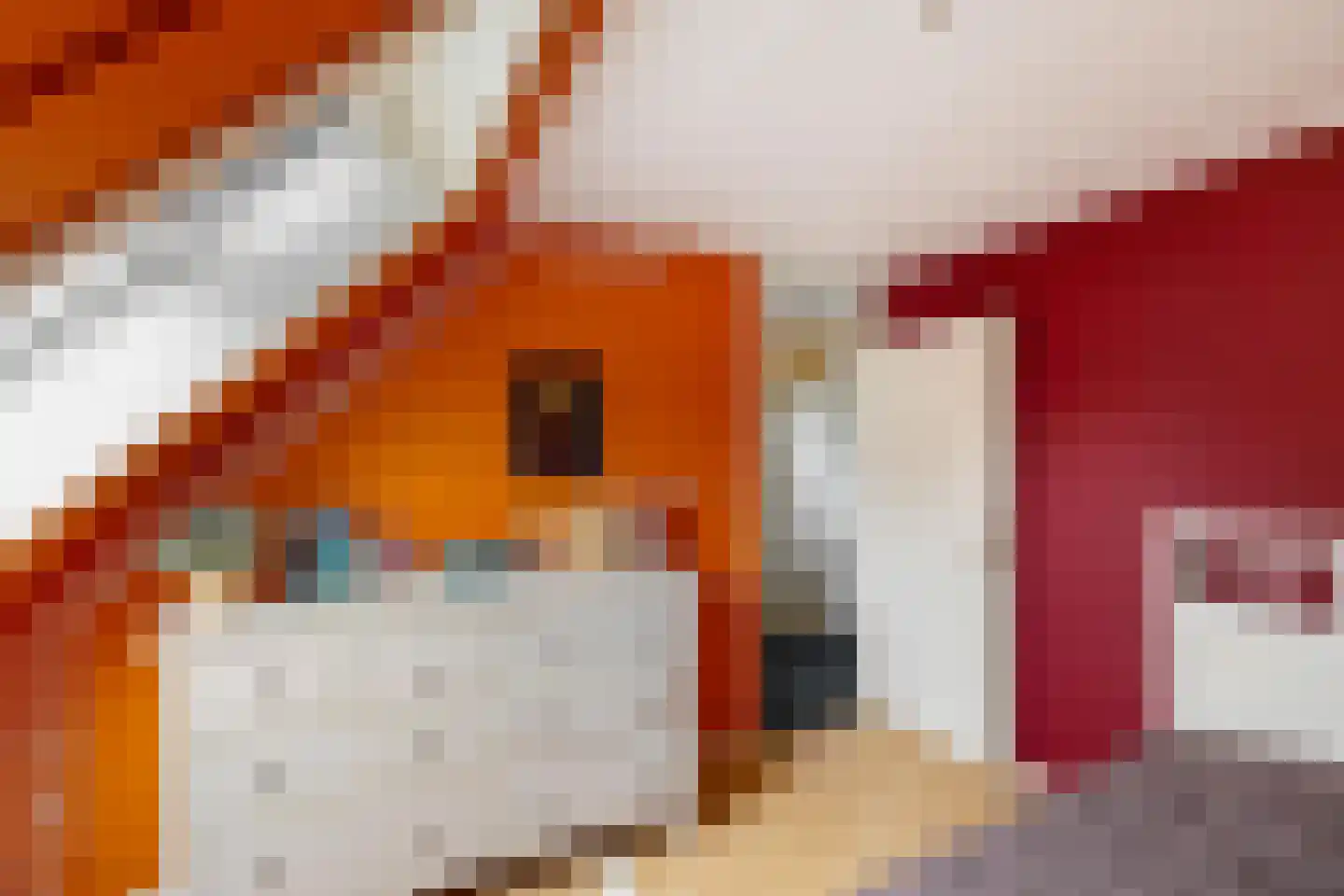 De Els 11 Bedum thumbnail 48