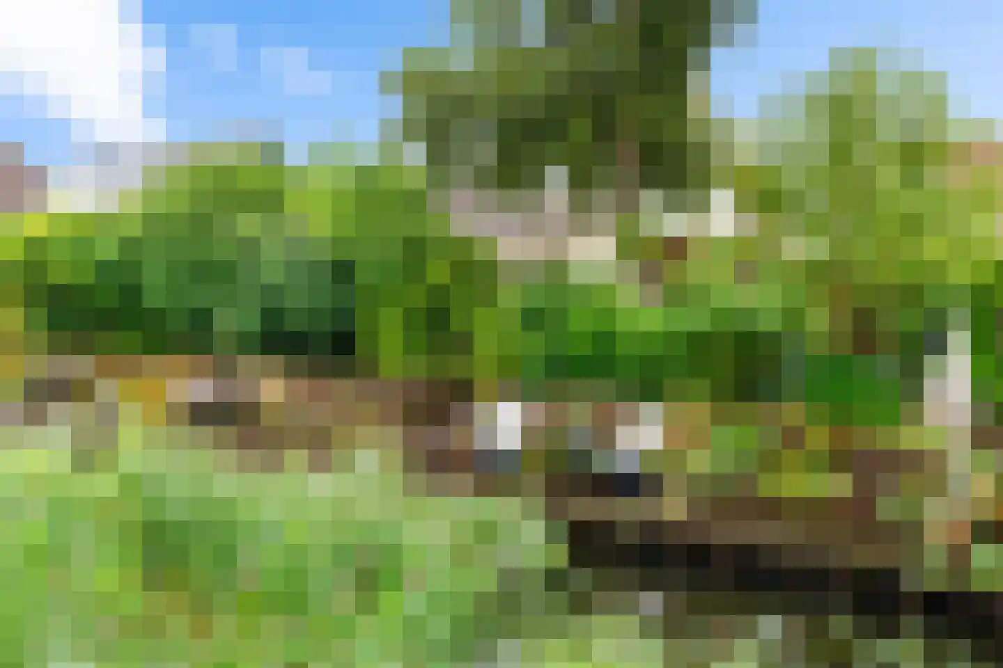 De Els 11 Bedum thumbnail 5