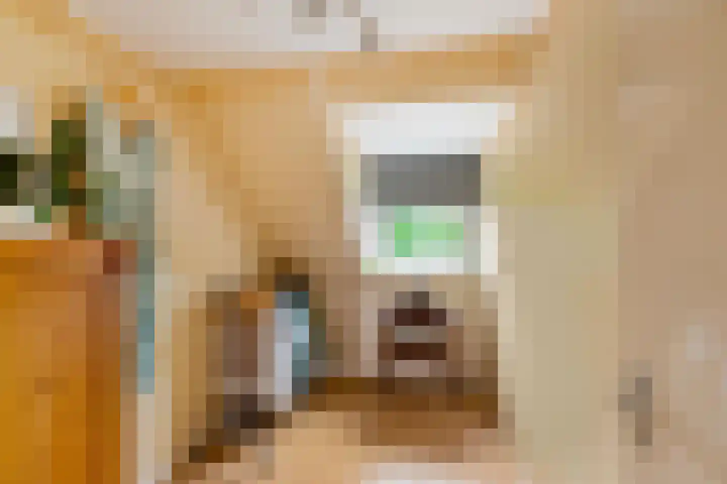 De Els 11 Bedum thumbnail 50