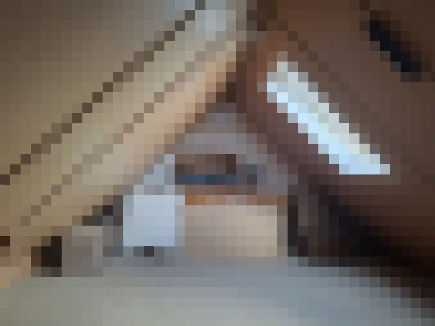 De Els 11 Bedum thumbnail 52