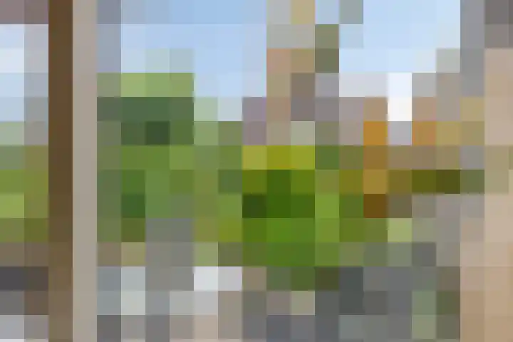 de Els 11 Haaksbergen thumbnail 14