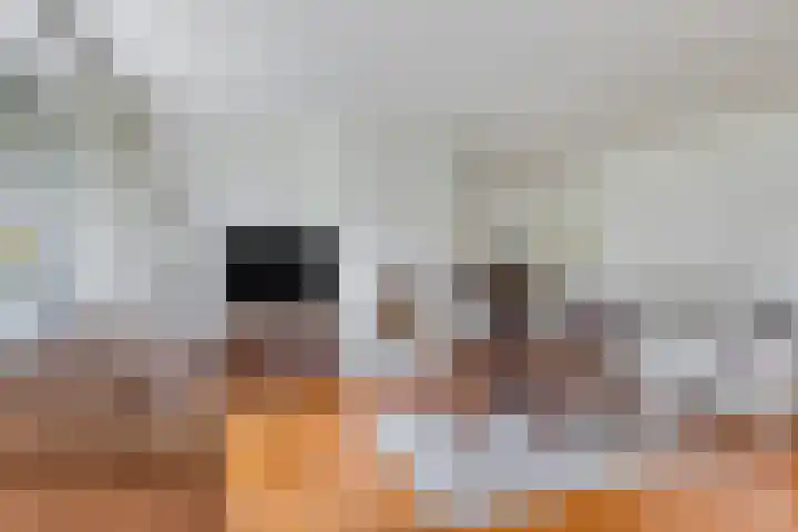 de Els 11 Haaksbergen thumbnail 15